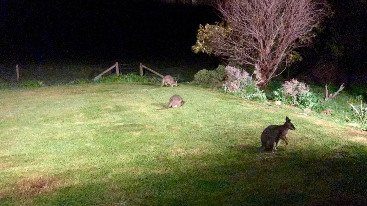 Bee'S Place - 3 Bedroom Home On 10 Acres Of Land With Distant Ocean Views Emu Bay Экстерьер фото